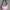 Adidas Streetwear Y2K Crossbody Bag Wanita purple pink photo 5