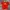 Jersey Urawa Red
