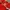 Jersey urawa red photo 3