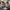 Adidas YEEZY BOOST 350 V2 earth / 36 photo 4