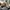 Adidas YEEZY BOOST 350 V2 earth / 36 photo 2