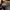 Adidas YEEZY BOOST 350 V2 earth / 36 photo 6