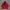 Vintage Parka Jacker by Woodwind photo 7