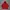 Vintage Parka Jacker By Woodwind