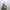 Rootote Japan Grande Commissary Supply & Co. Original  photo 2