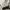 Converse Streetwear Casual Sneakers Pria white black photo 6