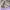 Nike Air Force 1 Low '07 SE Next Nature Amethyst Ash photo 1