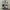 New Balance 2002R Grey Black JD Sport Exclusive (pig skin) photo 2