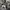 Converse Tobin Low Black White photo 1