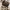 Signature Travel XS Duffle Crossbody – Brown photo 1