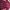 Atasan Woll Maroon Hitam