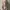 charlotte tbury foundation photo 1