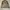 Vintage Harrington jacket Pria tan photo 1