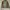 Vintage Harrington jacket Pria tan photo 2