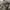 Carhartt RealTree Carpenter photo 7