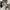 Nike P-6000 Silver Wolf Grey Anthracite Summit White photo 1