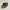 Vintage Y2k Khaki Cream Suede Studs Belt  photo 1