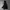 Under Armour Sportswear Hoody Pria black photo 1