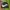 windbreakers nike big swosh hitam photo 1