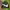 windbreakers nike big swosh hitam photo 9