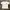 Stussy Casual T-shirt Pria white photo 2