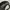 RERE Godzilla x Mothra x Mechagodzilla Tokyo SOS Movie photo 6