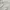 Kemben Dress Maxi Long Dress White photo 2