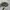 Y2K Patrol Cap Triball Bowtech photo 3
