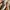 Converse x Carhartt Wip One Star Academy Pro photo 3