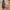 Converse x Carhartt Wip One Star Academy Pro photo 6