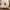 Converse x Carhartt Wip One Star Academy Pro photo 7