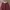 Atasan Maroon photo 1