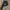 Timberland Streetwear Sportswear Tracksuit Pria green photo 5
