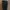 Timberland Streetwear Sportswear Tracksuit Pria green photo 4