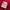 DSQUARED2 Luxury Windbreaker Pria red photo 8