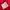 DSQUARED2 Luxury Windbreaker Pria red photo 7