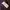 Burberry Luxury Sweatshirt Pria purple photo 4