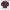 Burberry Luxury Sweatshirt Pria purple photo 5