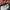 VINTAGE L3V1S LOT 511 DENIM PANTS photo 9