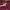 Casual Midi dress Wanita burgundy photo 4