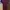 Casual Midi dress Wanita burgundy photo 3