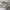 Cav Empt Luxury Fleece Pria white gray photo 4