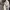 Cav Empt Luxury Fleece Pria white gray photo 8