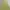 Y2k Tank Top Sequin Yellow photo 7