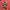 Pancoat Streetwear Casual Sweater Pria multicolor photo 2