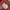 Pancoat Streetwear Casual Sweater Pria multicolor photo 4