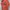Pancoat Streetwear Casual Sweater Pria multicolor photo 1