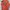 Pancoat Streetwear Casual Sweater Pria Multicolor