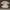 This is april katbol in white  photo 1