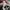 NEW BALANCE 1906R photo 6